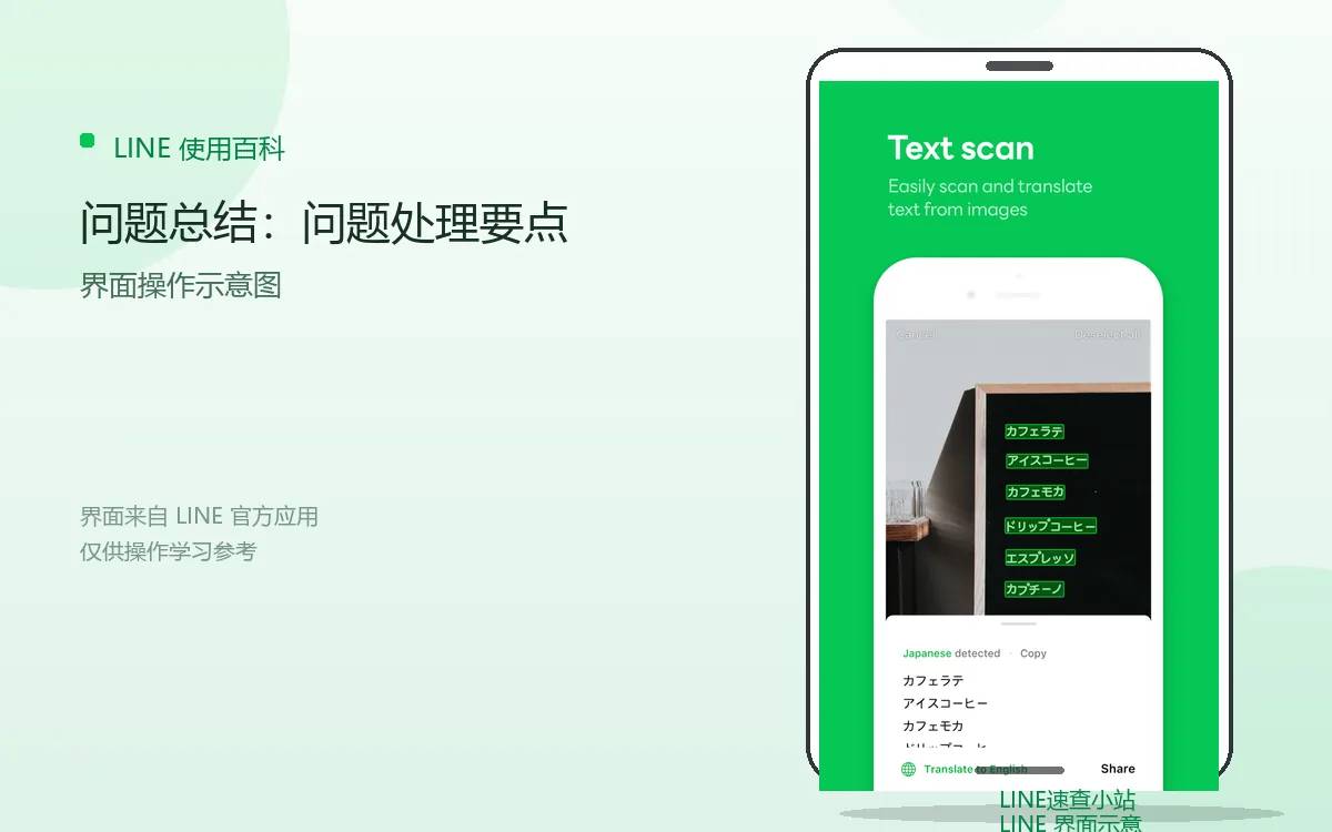 问题总结：问题处理要点界面示意图